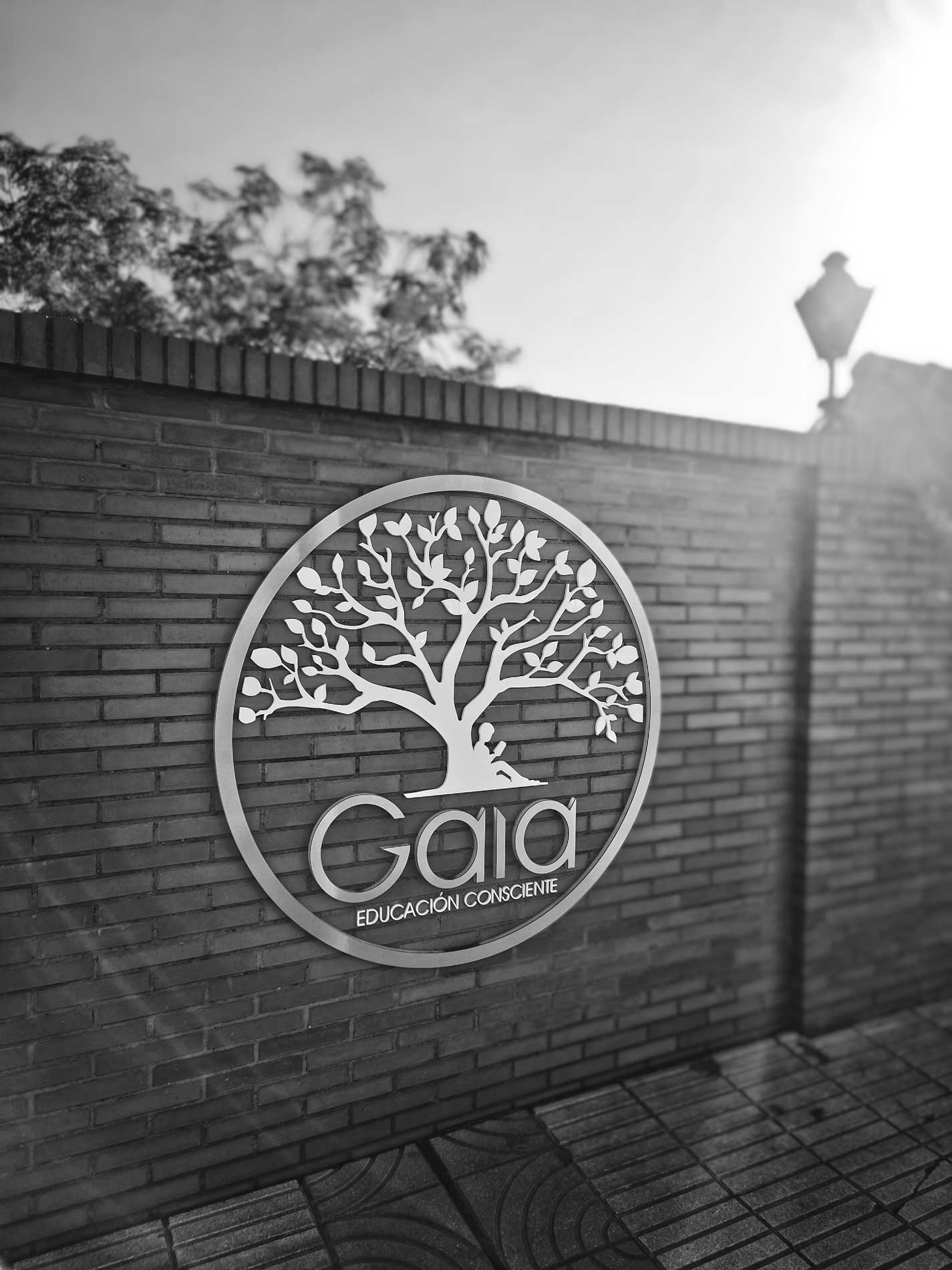 Elegir escuela es una decisión importante